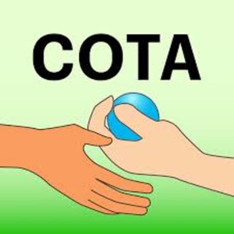 occupational therapy assistant job established