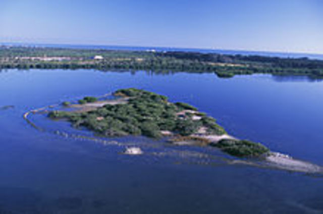 Pelican Island, Florida named first national wildlife refuge