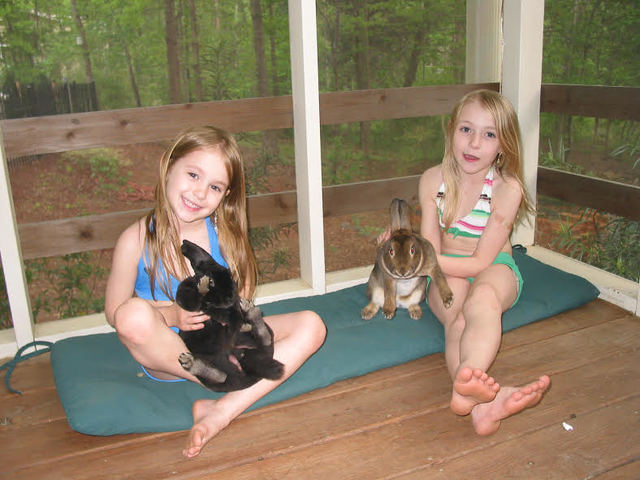 Mi hermana y yo recibimos conejos.