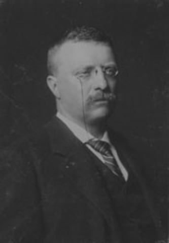 Named President when McKinley is Assassinated