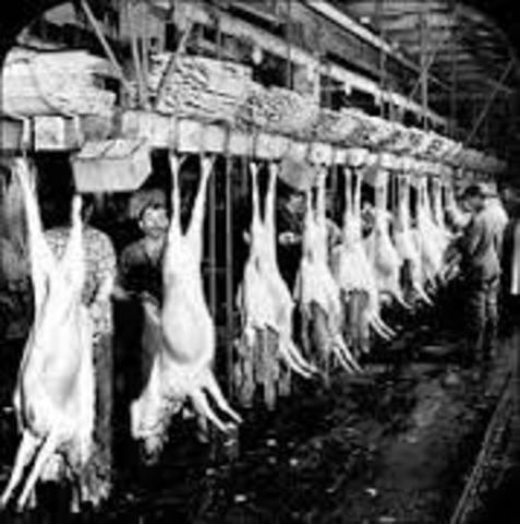 Passes Pure Food and Drug Act