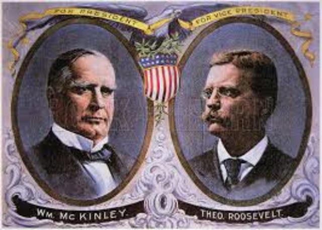 Named President when McKinley was assassinated