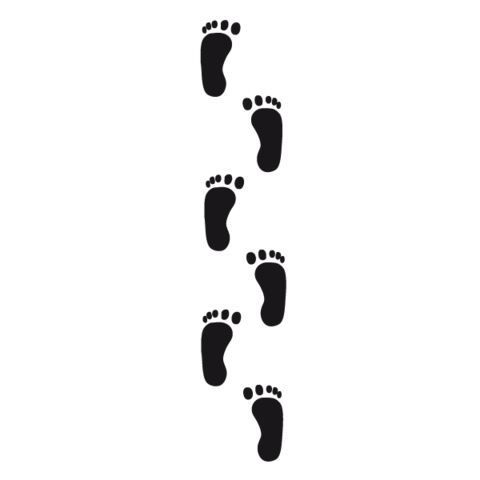 INCLUSIÓN EDUCATIVA - UNESCO