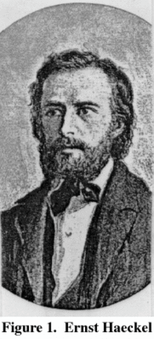 Ernst Haeckel (1866)