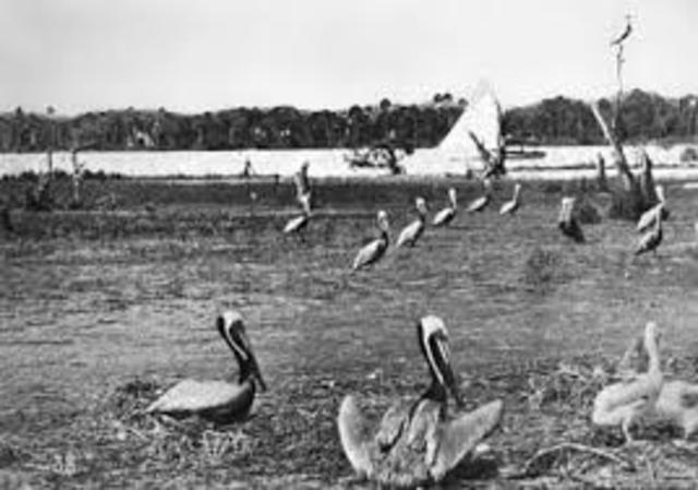 Pelican Island Florida named Nation wildlife refuge