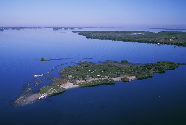 Pelican Island, Florida Named First National Wildlife Refuge