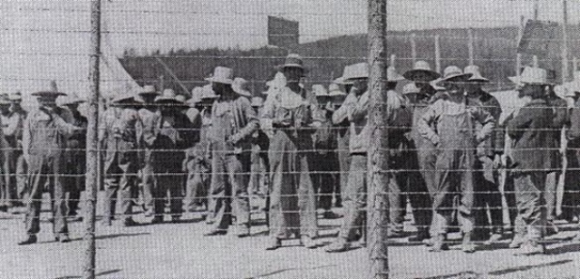 Internment of Italian Canadians