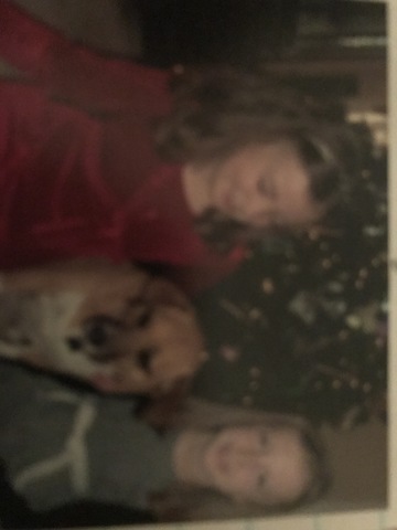 2008- Recibó un perro