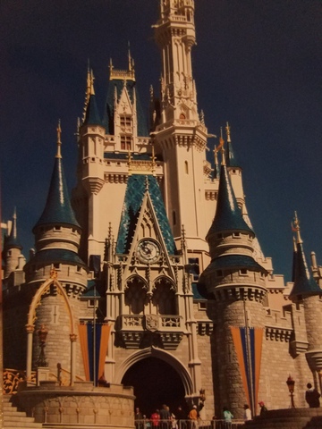 Mis padres y yo fuimos a Disney World para la primera vez.