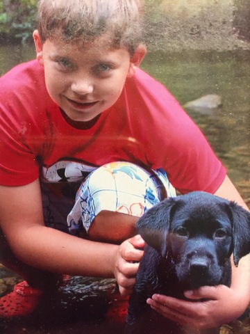 Mi familia recibimos un perro en 2014