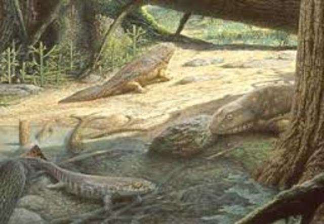 Carboniferous (345m-280m) Palaeozoic Era