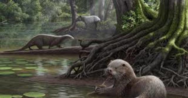 Silurian 435MYA-395MYA