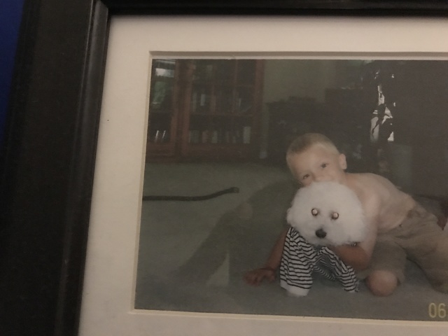 En 2007, obtení mi perro primero