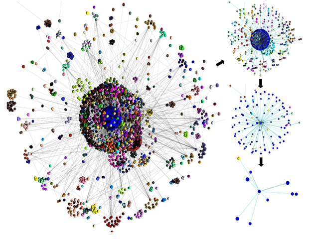 Primer Genoma Seuenciado
