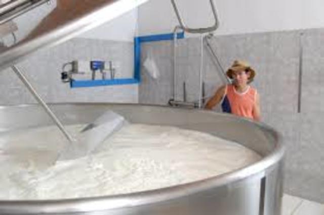 Tanques De Enfriamiento De Leche