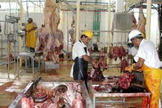 Frigomatadero Central Cooperativa