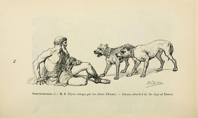Dogs attack Odysseus