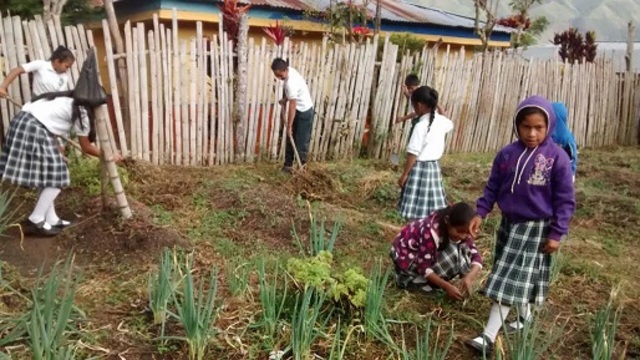 otras formas de cobrar importancia