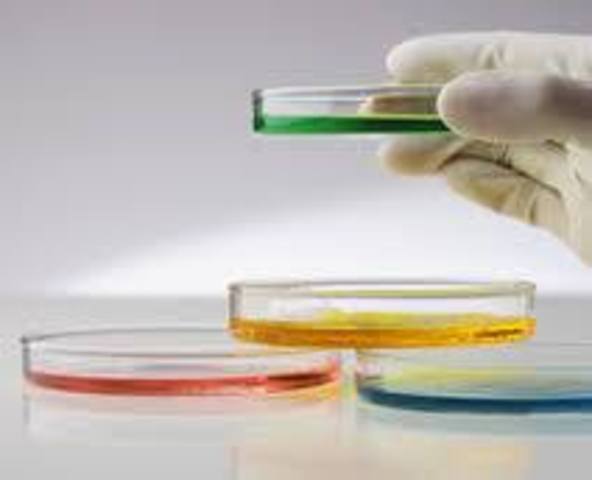 Hesss desarrollo un medio sólido para el cultivo de microorganismos (Agar).