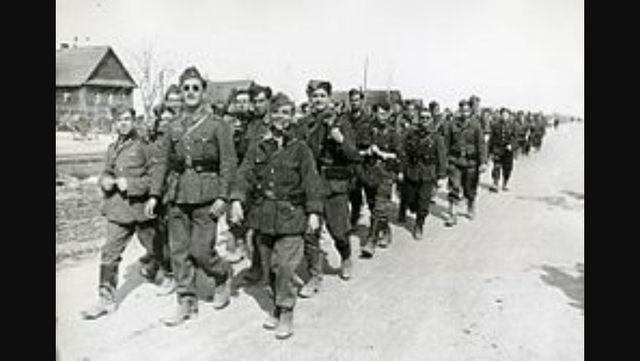 La división Azul es mandada a luchar junto a Hitler.