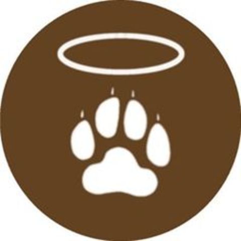 Mi perro, Rudy, murió