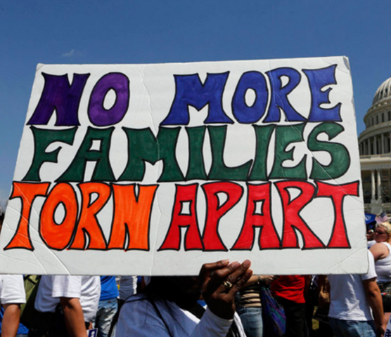 Creation of Immigration Categories