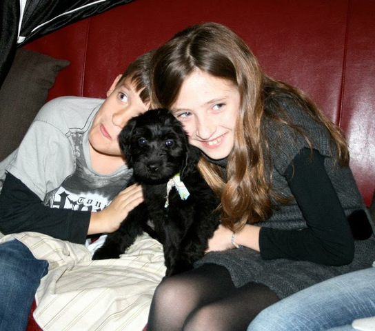 obtuvé el perro se llama champ