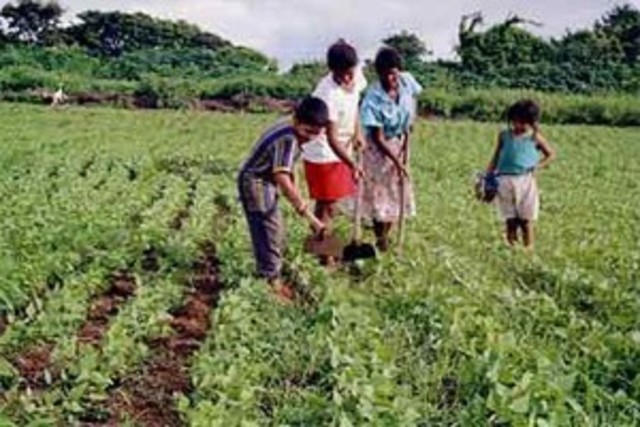Otra forma de educación...