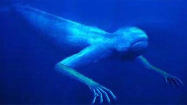 Saatuwee Attack (My Added Event)