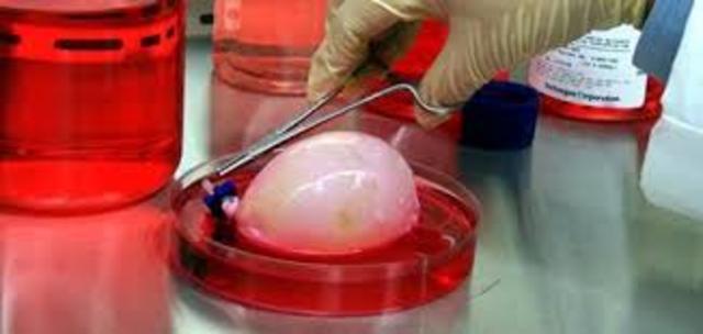 ENGINEERED ORGANS BRING NEW ADVANCES TO MEDICINE