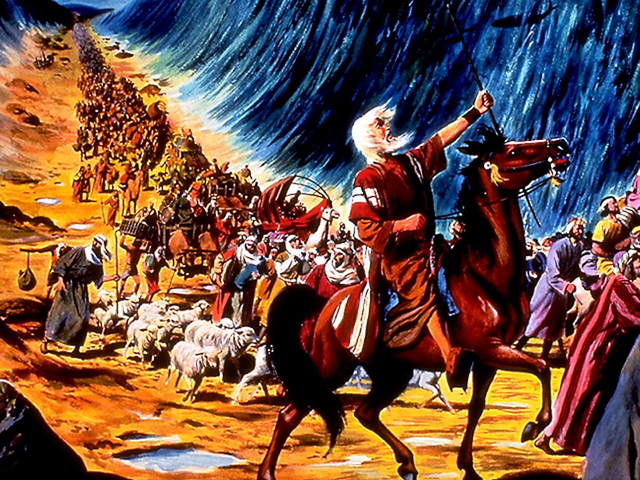 los codigos de yoro se convierten en ley