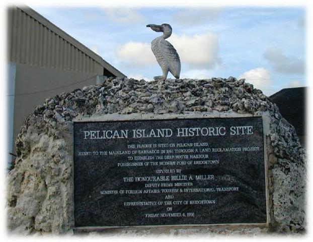 Pelican Island in Florida is Named First National Wildlife Refuge