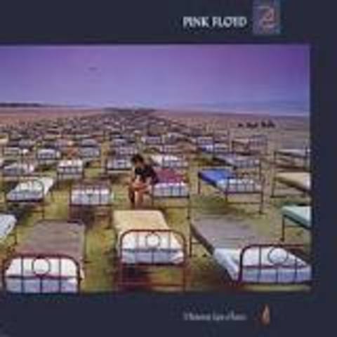A Momentary Lapse Of Reason