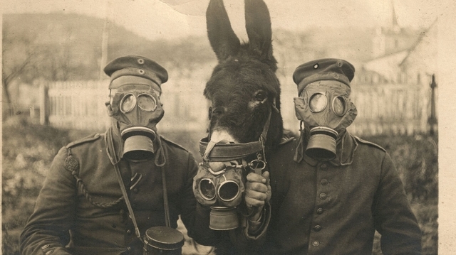 Germany start their move in WWI