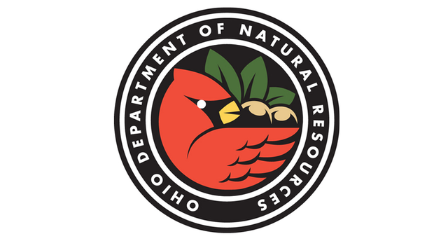 O.G.A. Created the Department of Natural Resources