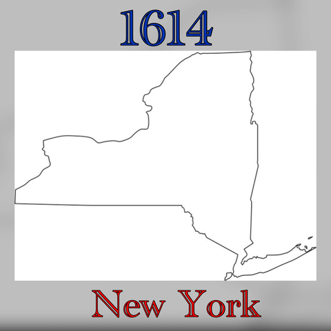 New York was the second colony to colonize.