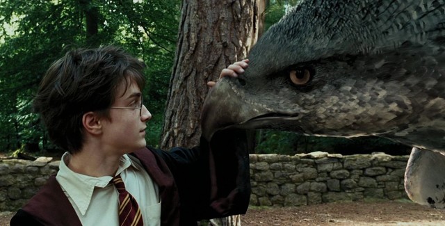 Buckbeak's Defense