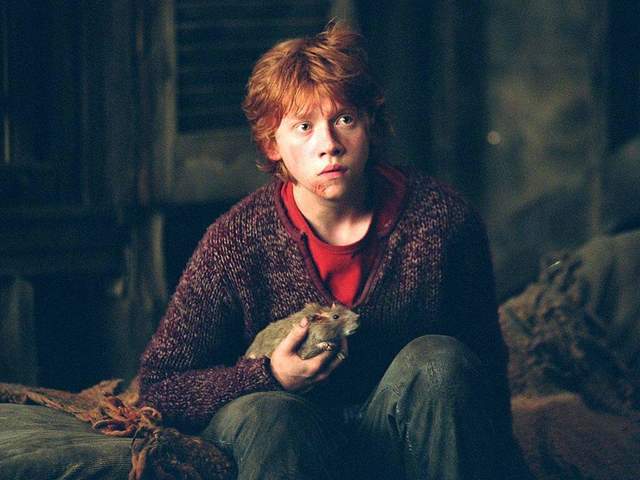 Return of the Firebolt