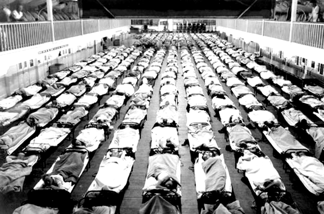 Epidemia de la gripe