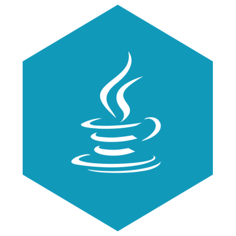 1995 – Java