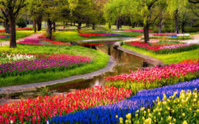 Flower Garden