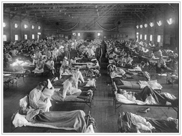 Epidemia de la gripe