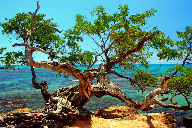 New York Stock Exchange was founded (1792)