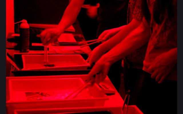 Último día para enviar la foto al laboratorio