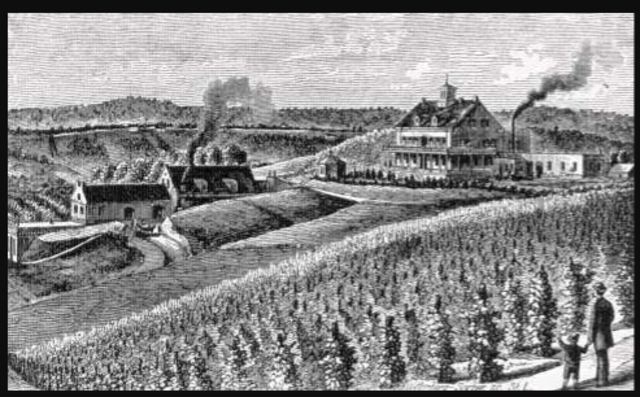 Birth of Samuel Clements