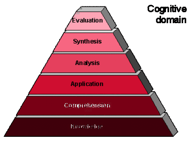 Domain of Learning (Cognitive)