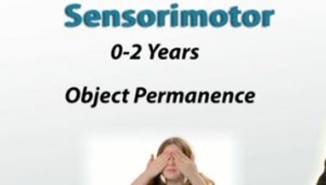 Cognitive Development (Sensorimotor)