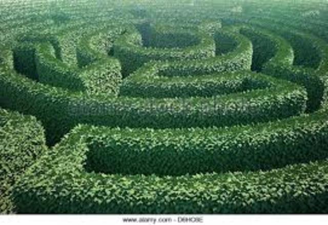 The Maze