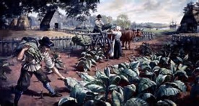 First crop that was grown