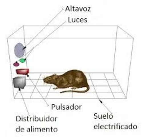 PUBLICACIÓN DEl PRIMER TRABAJO SKINNER